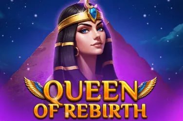 qq8i